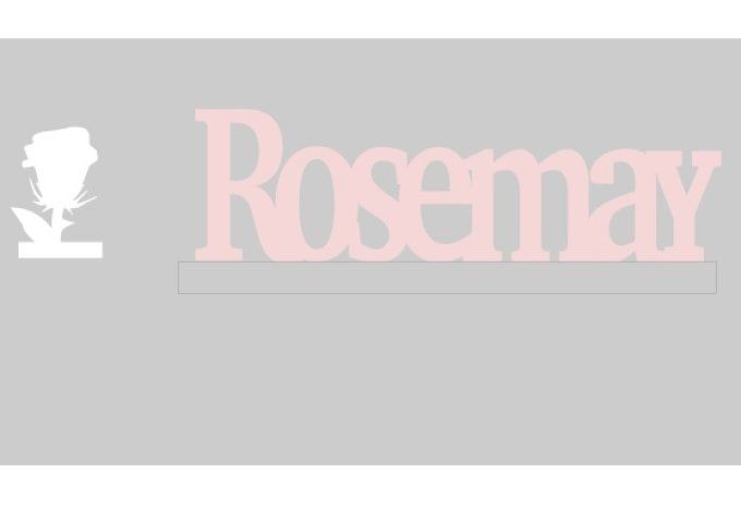 Prénom Rosemay et rose.
